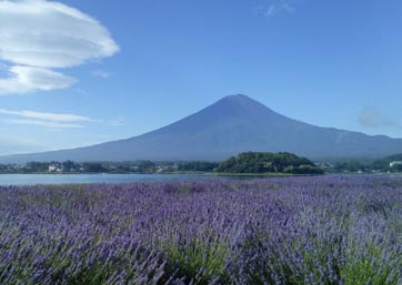 Oishi Park